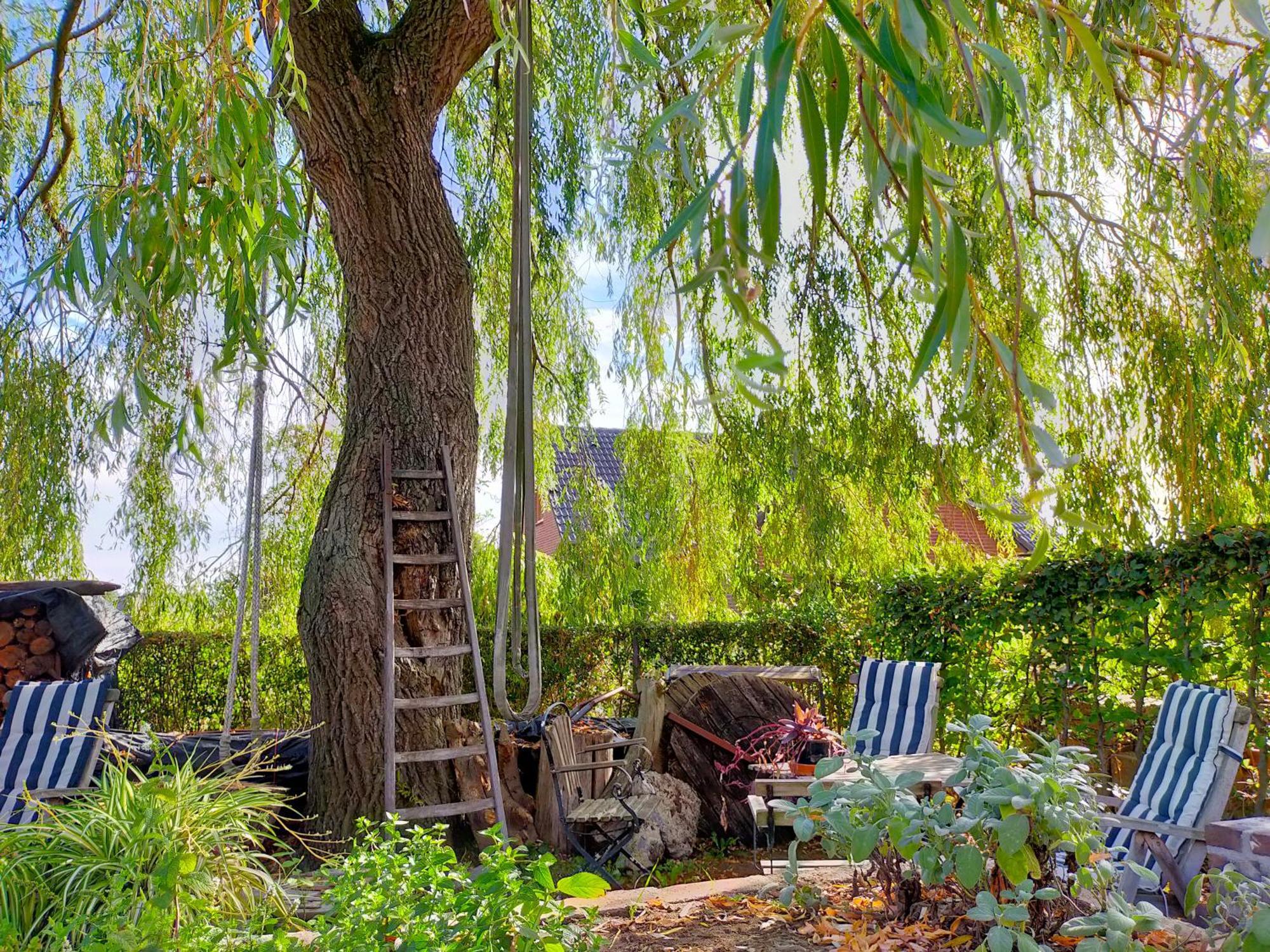 Bed and Breakfast Aan De Molenberg Broekhuizen  Exteriér fotografie